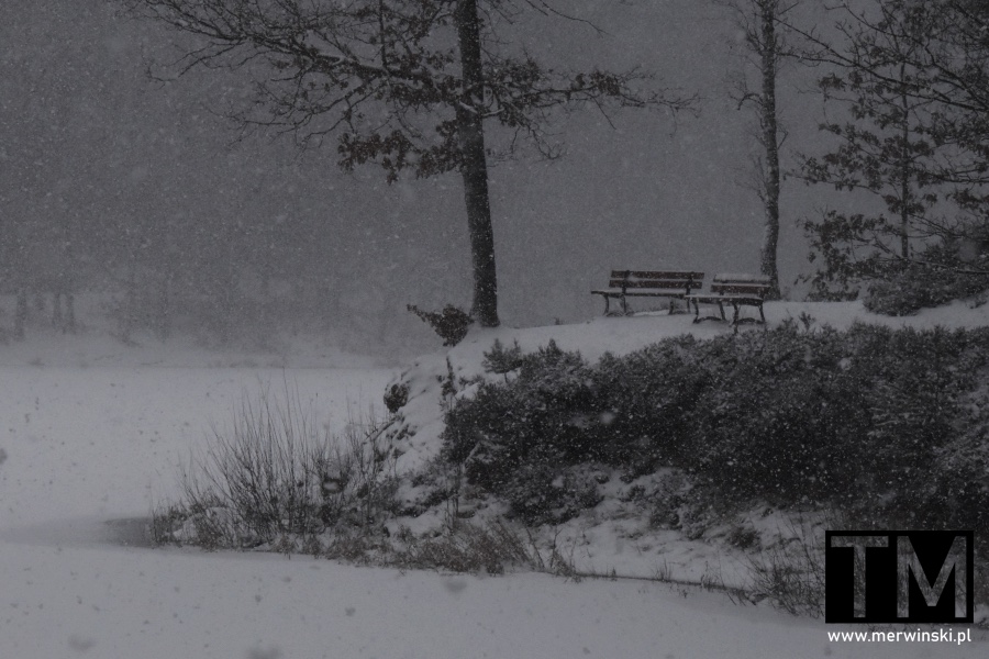 Ławki nad jeziorem złotnickim niedaleko Złotnik Lubańskich