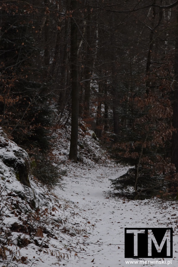 Szlak nad jeziorem złotnickim na Dolnym Śląsku