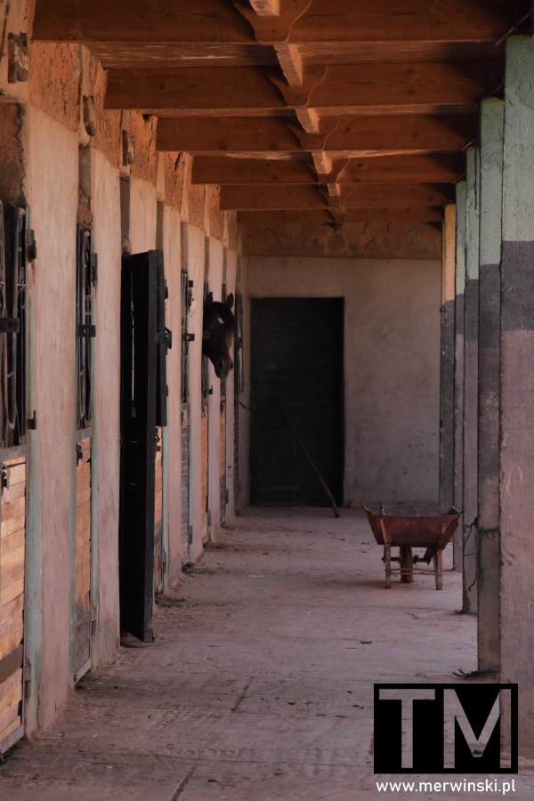 Stajnia na terenie Studia Atlas w Maroku