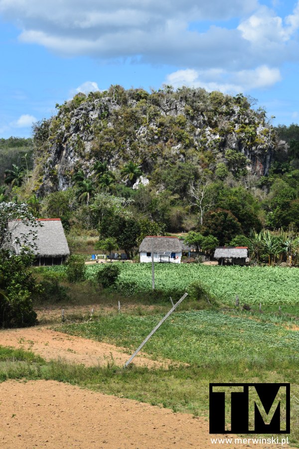 Domek w Dolinie Vinales (Kuba)