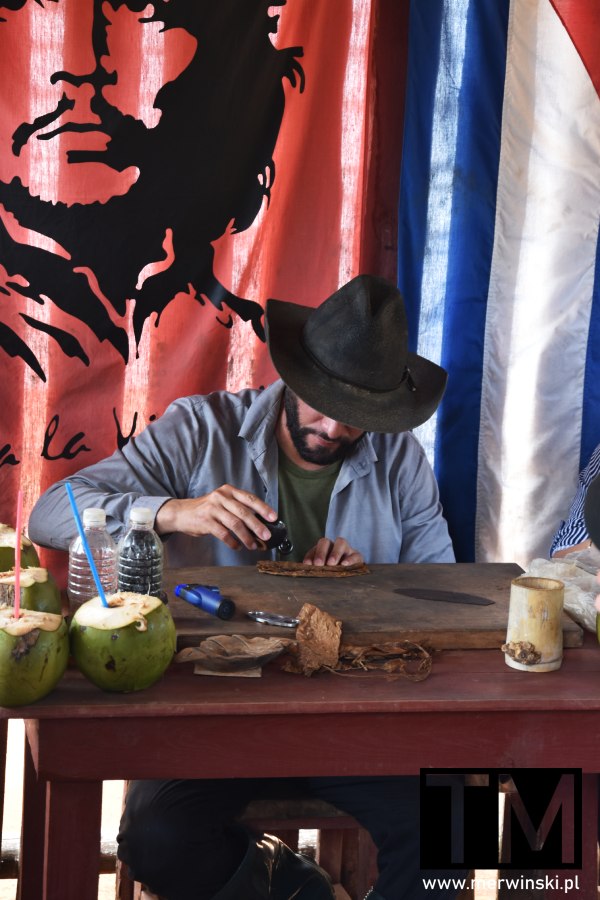 Pracownik plantacji tytoniu Vinales na Kubie