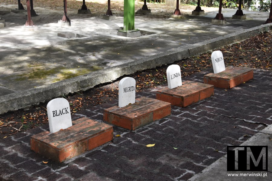 Groby psów na terenie Finca Vigia