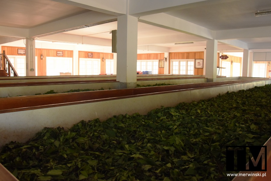 Fabryka herbaty New Giragama Tea