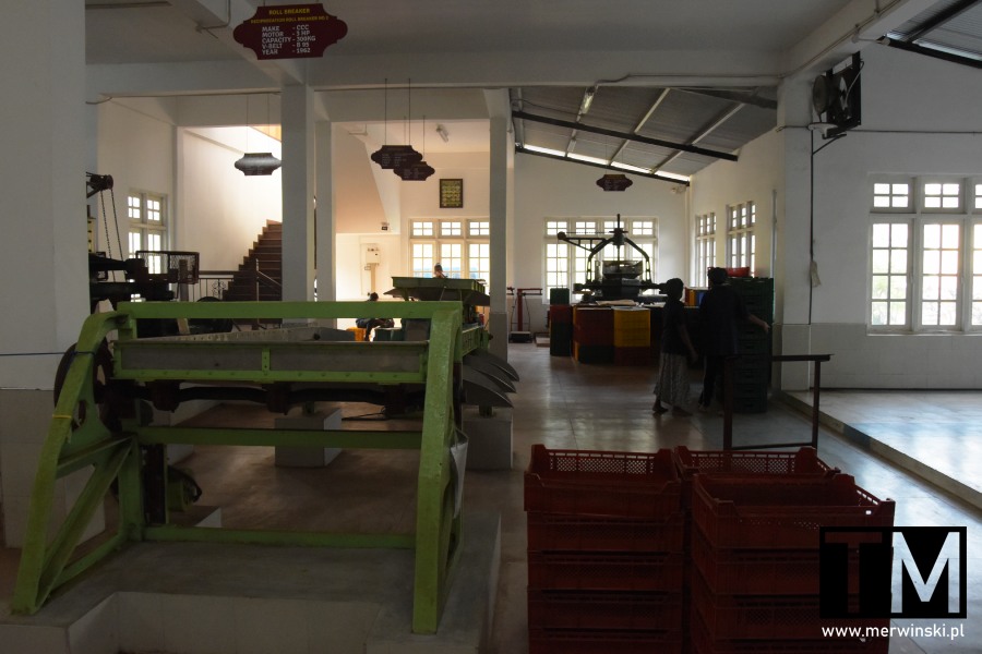 Herbata jak powstaje? Oto fabryka herbaty Sri Lanka