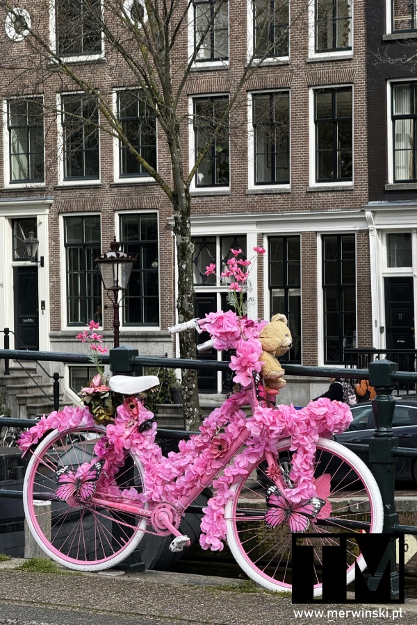 Rower w różowe kwiaty w Amsterdamie (Holandia)