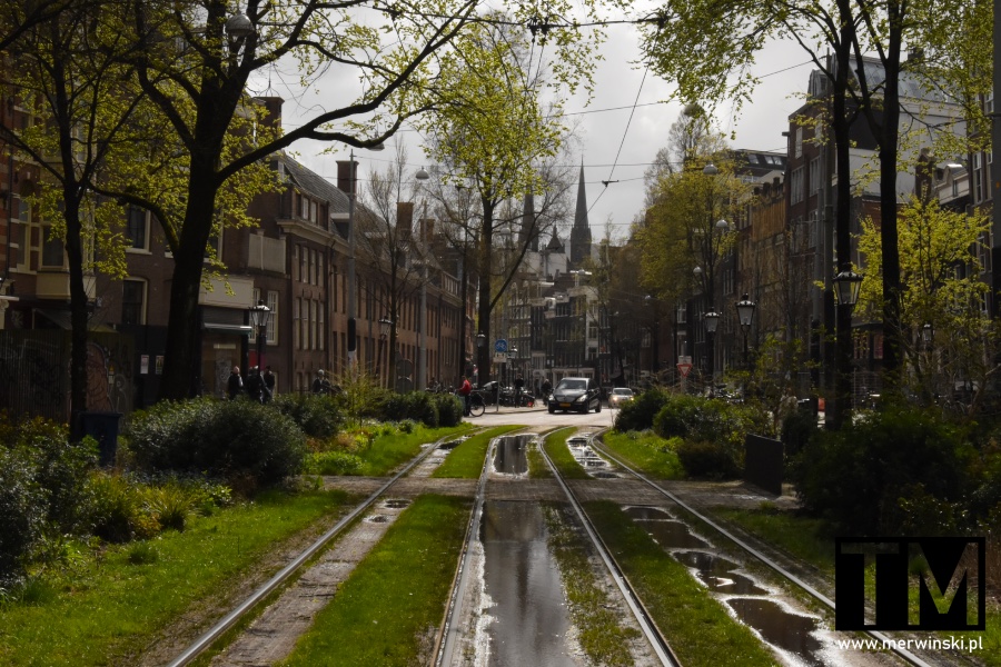 Zielony skwer I tory tramwajowe w Amsterdamie