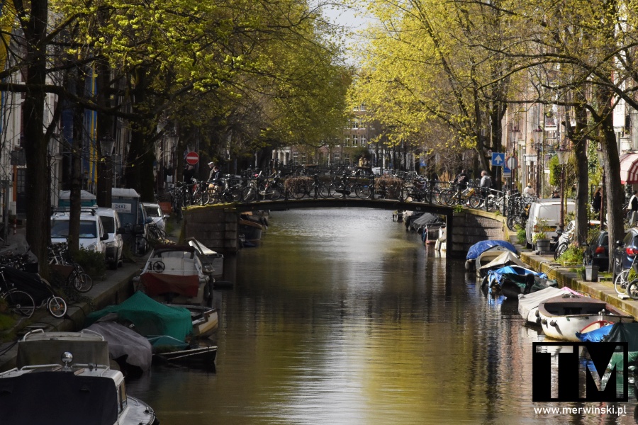 Amsterdam zwiedzanie wzdłuż kanałów miejskich