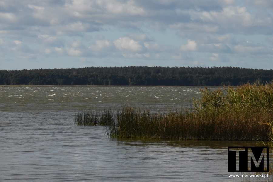 Szeroki Ostrów (Mazury) - widok na największe jezioro w Polsce: Jezioro Śniardwy