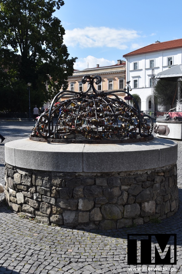 Studnia na Placu Mariańskim (Co zobaczyć w Żylinie)