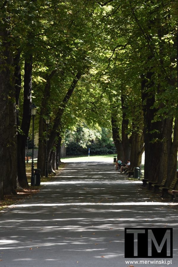 Park miejski (Opava co warto zobaczyć)