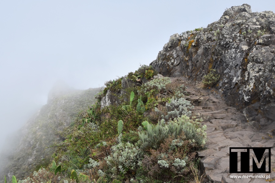 Trekking na Teneryfie: Roque de Taborno