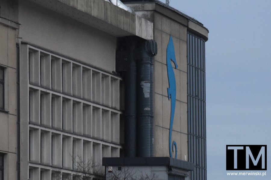 Akwarium Gdynia atrakcje zimą