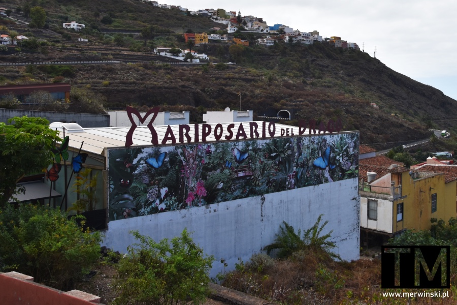 Motylarnia w Icod de los Vinos (atrakcje Teneryfy)