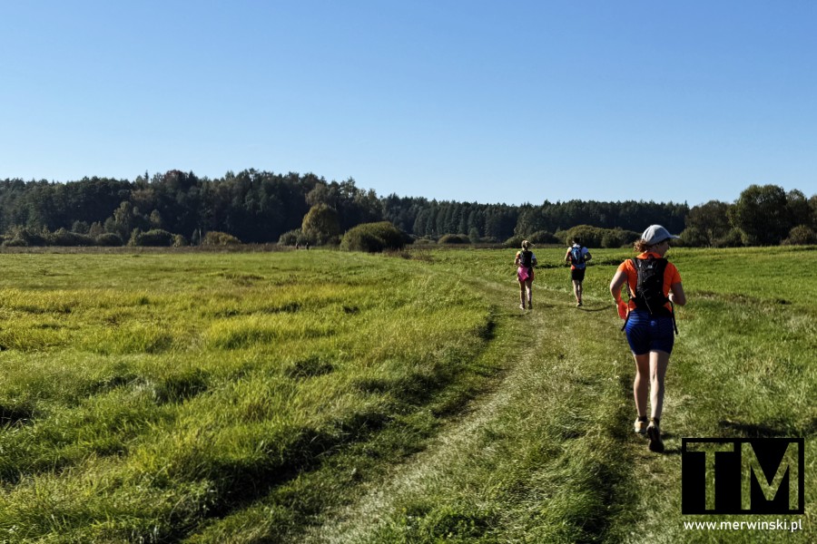 Bison Ultra Trail na Podlasiu (Puszcza Knyszyńska)